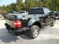 2008 Black Ford F150 STX Regular Cab 4x4  photo #6