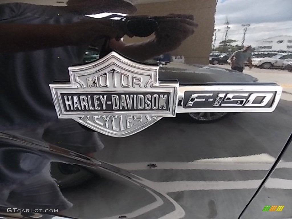 2010 F150 Harley-Davidson SuperCrew - Tuxedo Black / Harley Davidson Lava Red/Black photo #63