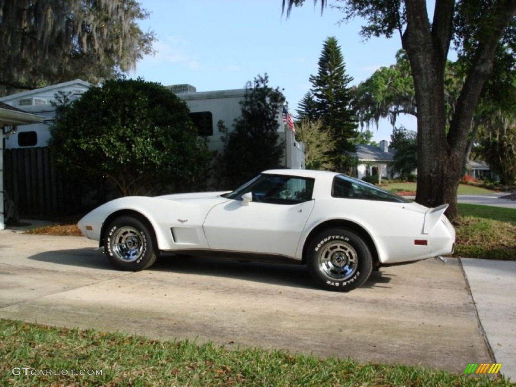 1979 Corvette Coupe - Classic White / Black photo #1