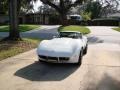Classic White - Corvette Coupe Photo No. 5