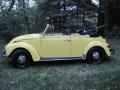 1971 Shantung Yellow Volkswagen Beetle Convertible  photo #2