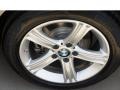 2014 BMW 3 Series 320i Sedan Wheel and Tire Photo