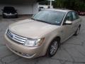 Dune Pearl Metallic - Taurus SEL Photo No. 4