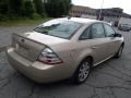 Dune Pearl Metallic - Taurus SEL Photo No. 8