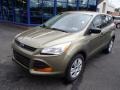 Ginger Ale 2014 Ford Escape S Exterior