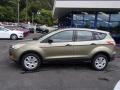 Ginger Ale 2014 Ford Escape S Exterior
