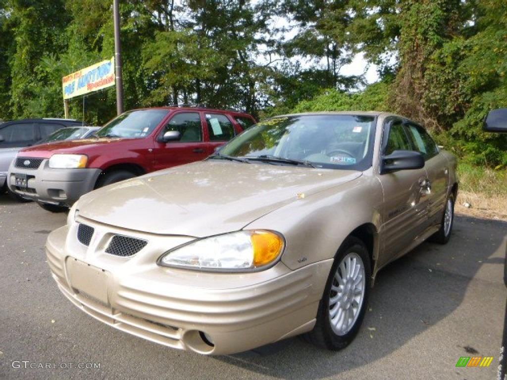 2001 Grand Am SE Sedan - Champagne Beige Metallic / Dark Taupe photo #1