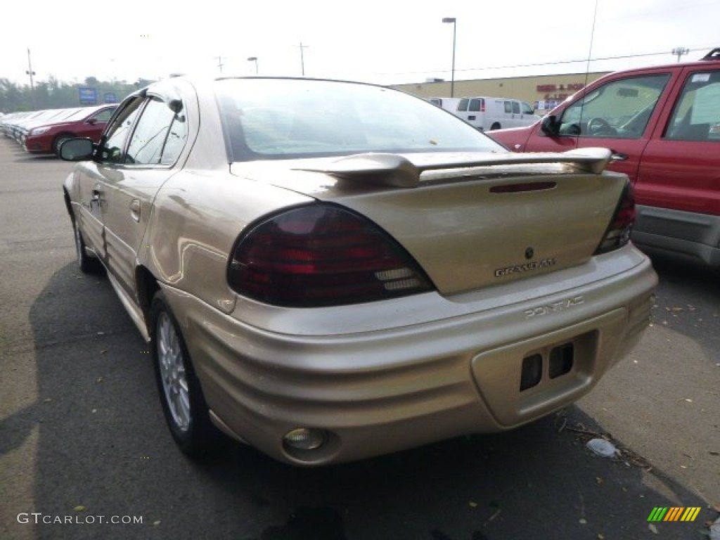 2001 Grand Am SE Sedan - Champagne Beige Metallic / Dark Taupe photo #2