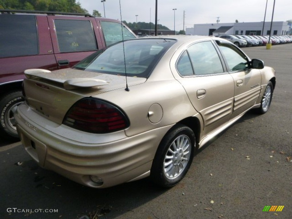 2001 Grand Am SE Sedan - Champagne Beige Metallic / Dark Taupe photo #4