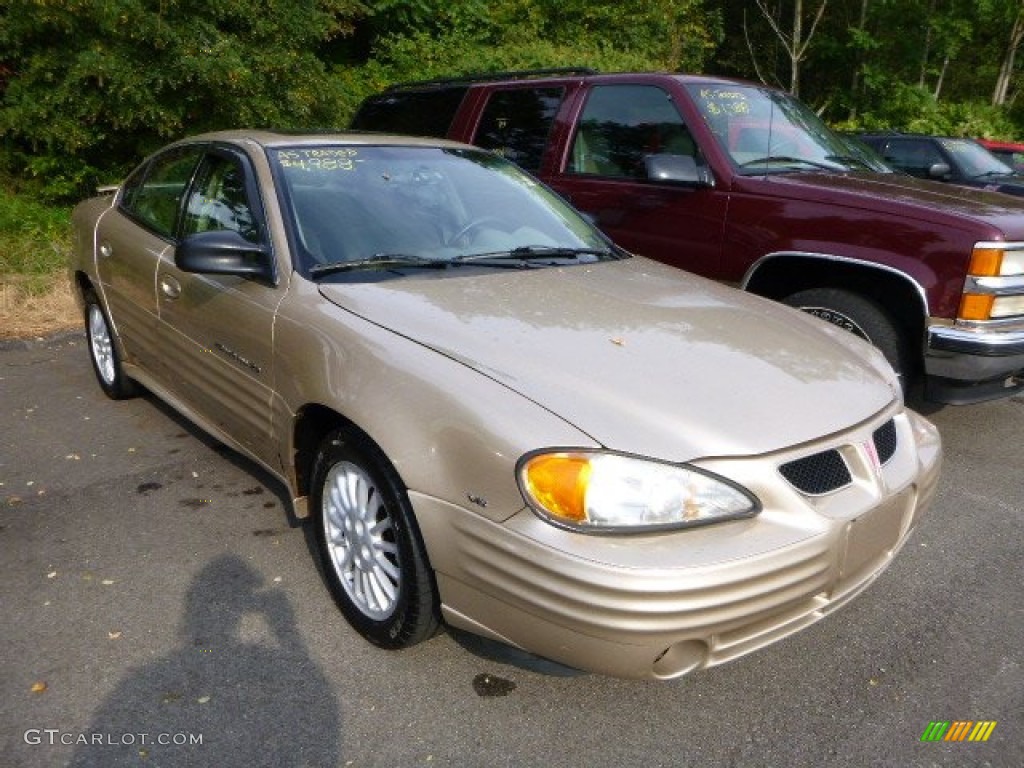 2001 Grand Am SE Sedan - Champagne Beige Metallic / Dark Taupe photo #5