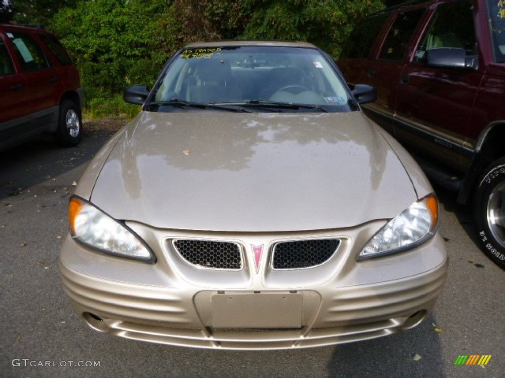 2001 Grand Am SE Sedan - Champagne Beige Metallic / Dark Taupe photo #6