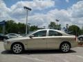 Lunar Gold Metallic - S60 2.5T Photo No. 5