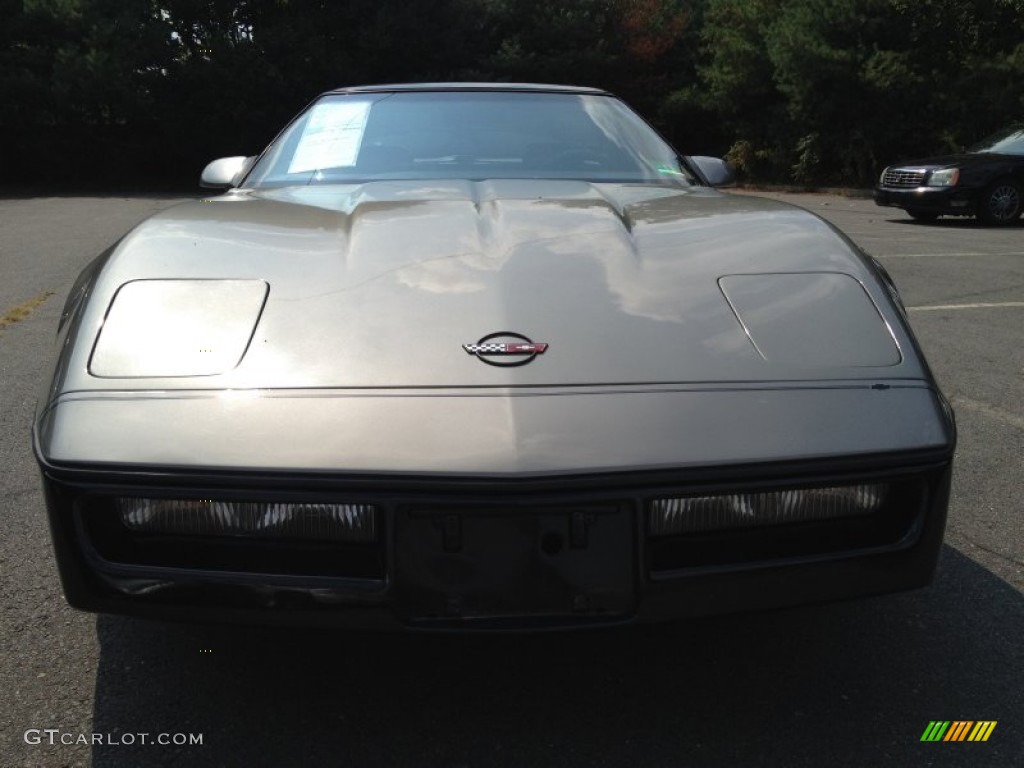 1987 Corvette Coupe - Silver Beige Metallic / Black photo #2