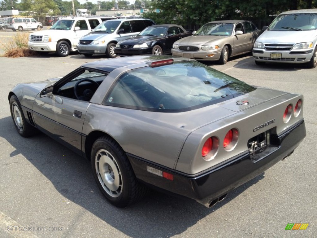 1987 Corvette Coupe - Silver Beige Metallic / Black photo #5