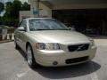 Lunar Gold Metallic - S60 2.5T Photo No. 8
