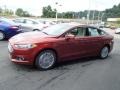 Sunset - Fusion SE EcoBoost Photo No. 5