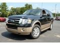 2013 Tuxedo Black Ford Expedition XLT  photo #1