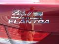 Red Allure - Elantra GLS Photo No. 18