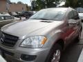 Pewter Metallic - ML 350 4Matic Photo No. 2