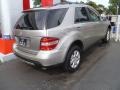 Pewter Metallic - ML 350 4Matic Photo No. 3