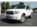 White Suede 2010 Ford Escape XLT V6