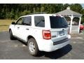 2010 White Suede Ford Escape XLT V6  photo #9