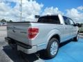 2013 Ingot Silver Metallic Ford F150 Platinum SuperCrew  photo #3