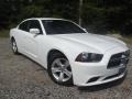 Bright White - Charger SE Photo No. 2