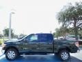 2013 Green Gem Metallic Ford F150 XLT SuperCrew 4x4  photo #2