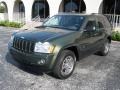 Jeep Green Metallic - Grand Cherokee Laredo Photo No. 1