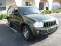 Jeep Green Metallic - Grand Cherokee Laredo Photo No. 7