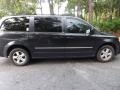 Blackberry Metallic - Grand Caravan SXT Photo No. 5