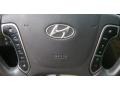 2011 Phantom Black Metallic Hyundai Santa Fe Limited AWD  photo #6