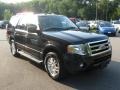 2013 Tuxedo Black Ford Expedition XLT 4x4  photo #1