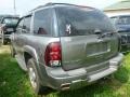Silverstone Metallic - TrailBlazer LS 4x4 Photo No. 2
