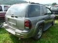 Silverstone Metallic - TrailBlazer LS 4x4 Photo No. 5