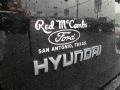 2011 Phantom Black Metallic Hyundai Santa Fe SE  photo #6