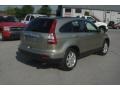 2007 Borrego Beige Metallic Honda CR-V EX-L 4WD  photo #2