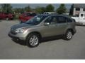 2007 Borrego Beige Metallic Honda CR-V EX-L 4WD  photo #30