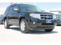 Ebony Black - Escape XLT V6 Photo No. 1