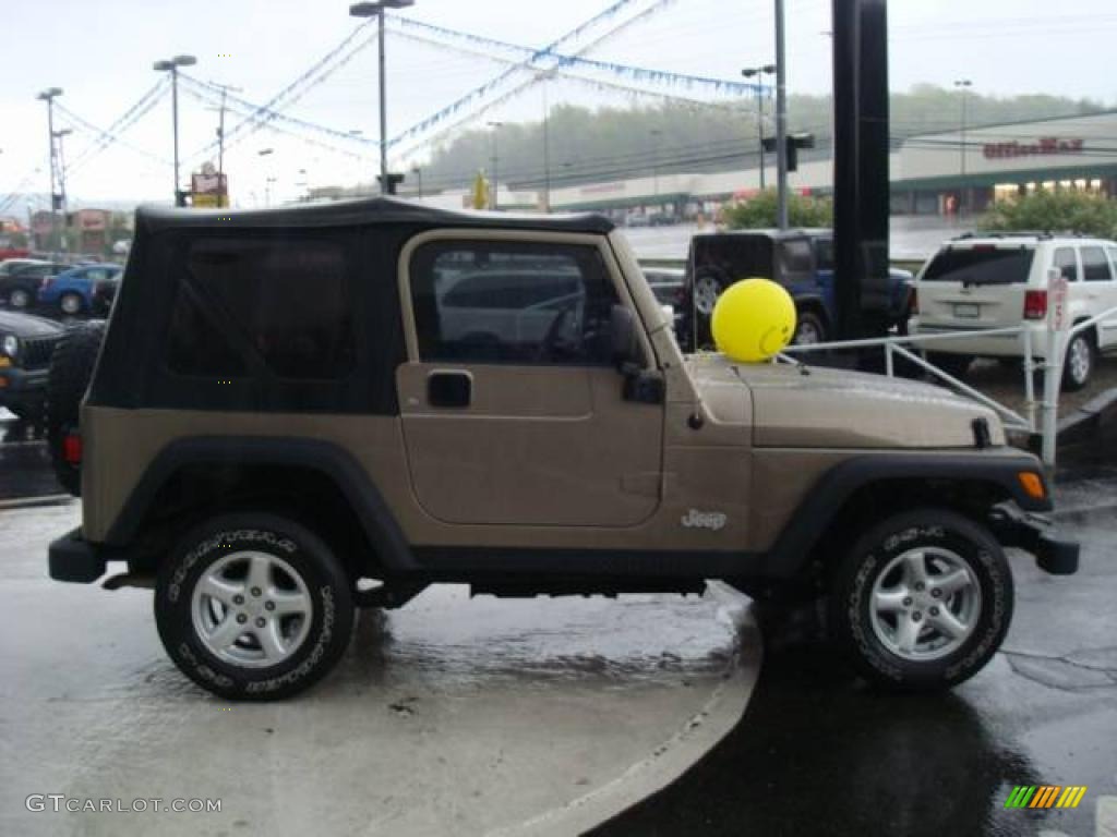 2004 Wrangler X 4x4 - Light Khaki Metallic / Dark Slate Gray photo #5