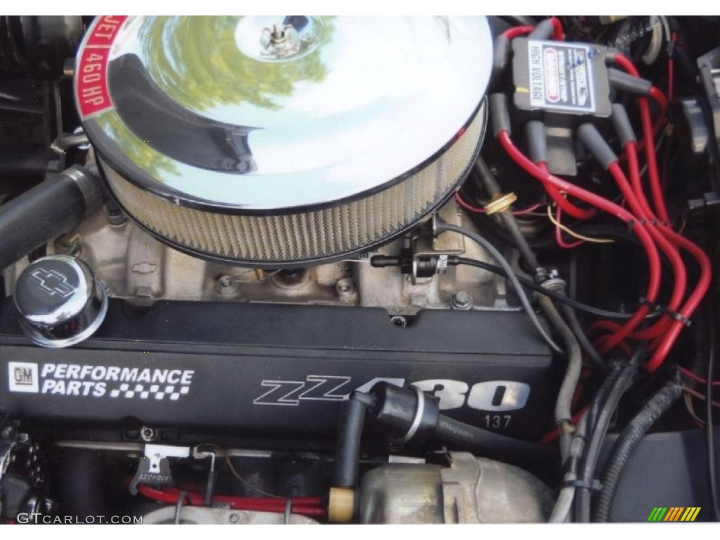 1979 Chevrolet Corvette Coupe 350 cid OHV 16-Valve V8 Engine Photo #85699135