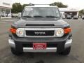 Black Diamond - FJ Cruiser 4WD Photo No. 2