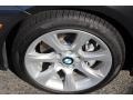 2013 Mineral Grey Metallic BMW 3 Series 335i Sedan  photo #32