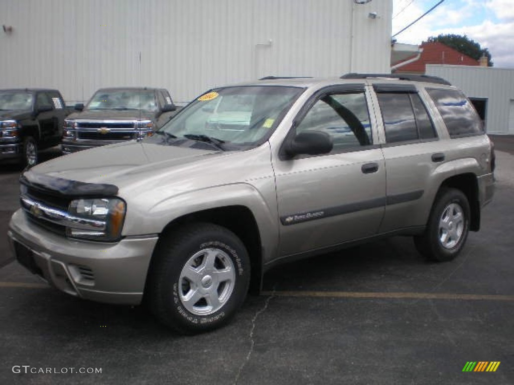 2003 TrailBlazer LS 4x4 - Light Pewter Metallic / Medium Pewter photo #1