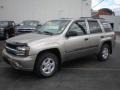 2003 Light Pewter Metallic Chevrolet TrailBlazer LS 4x4 #85698713