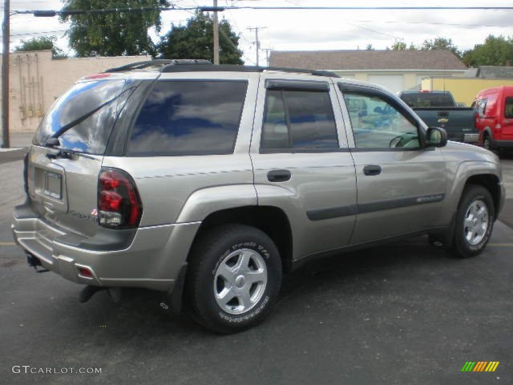 2003 TrailBlazer LS 4x4 - Light Pewter Metallic / Medium Pewter photo #2