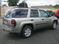 Light Pewter Metallic - TrailBlazer LS 4x4 Photo No. 2