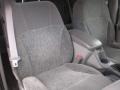 Light Pewter Metallic - TrailBlazer LS 4x4 Photo No. 5