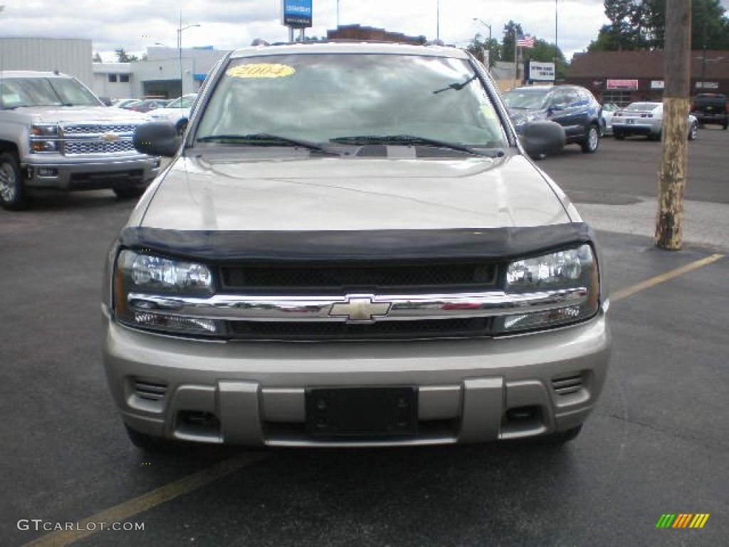 2003 TrailBlazer LS 4x4 - Light Pewter Metallic / Medium Pewter photo #6